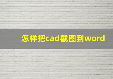 怎样把cad截图到word