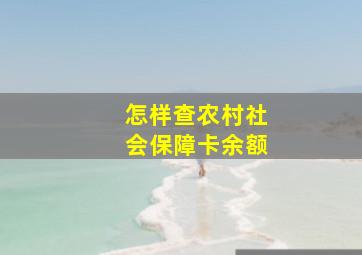 怎样查农村社会保障卡余额