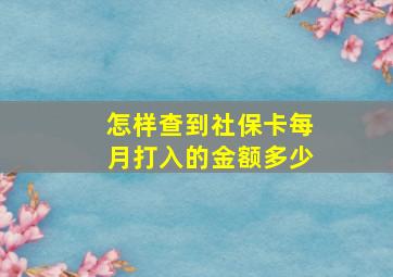 怎样查到社保卡每月打入的金额多少