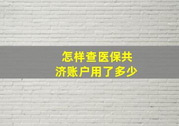 怎样查医保共济账户用了多少