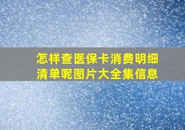 怎样查医保卡消费明细清单呢图片大全集信息