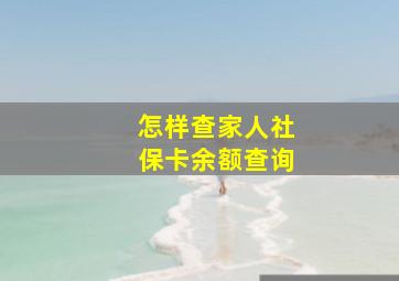 怎样查家人社保卡余额查询