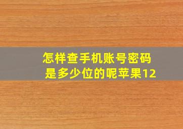 怎样查手机账号密码是多少位的呢苹果12