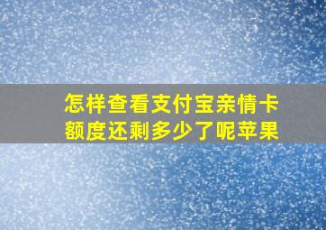 怎样查看支付宝亲情卡额度还剩多少了呢苹果