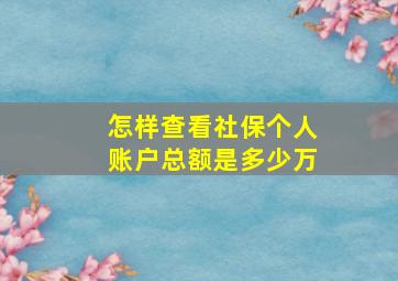 怎样查看社保个人账户总额是多少万