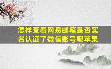 怎样查看网易邮箱是否实名认证了微信账号呢苹果