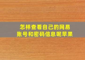 怎样查看自己的网易账号和密码信息呢苹果