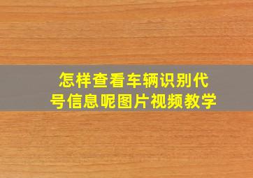 怎样查看车辆识别代号信息呢图片视频教学