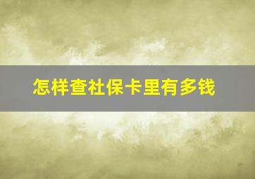 怎样查社保卡里有多钱