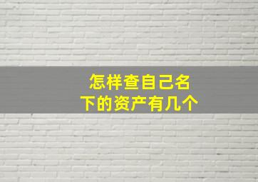 怎样查自己名下的资产有几个