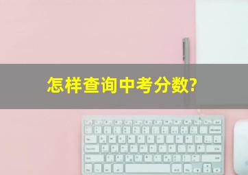 怎样查询中考分数?