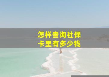 怎样查询社保卡里有多少钱