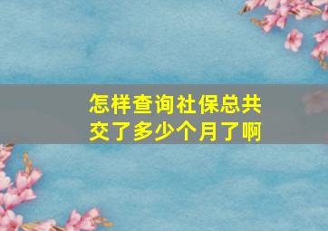 怎样查询社保总共交了多少个月了啊