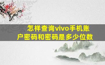 怎样查询vivo手机账户密码和密码是多少位数