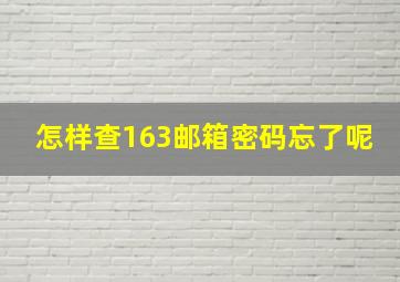 怎样查163邮箱密码忘了呢