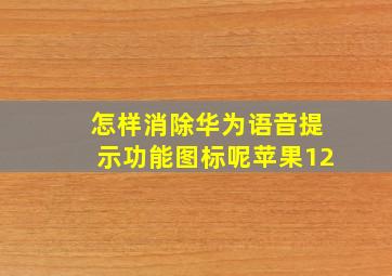 怎样消除华为语音提示功能图标呢苹果12