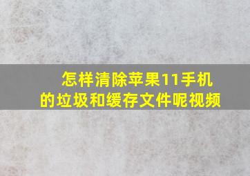 怎样清除苹果11手机的垃圾和缓存文件呢视频