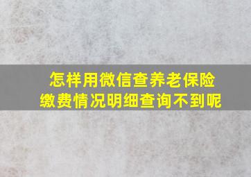 怎样用微信查养老保险缴费情况明细查询不到呢