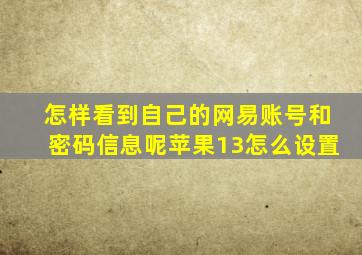 怎样看到自己的网易账号和密码信息呢苹果13怎么设置