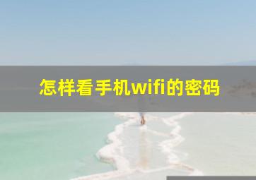 怎样看手机wifi的密码