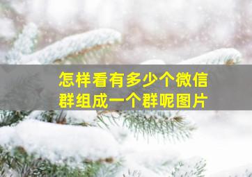 怎样看有多少个微信群组成一个群呢图片