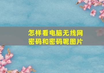 怎样看电脑无线网密码和密码呢图片