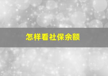 怎样看社保余额