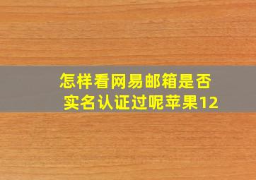 怎样看网易邮箱是否实名认证过呢苹果12