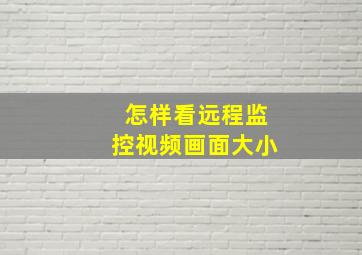 怎样看远程监控视频画面大小