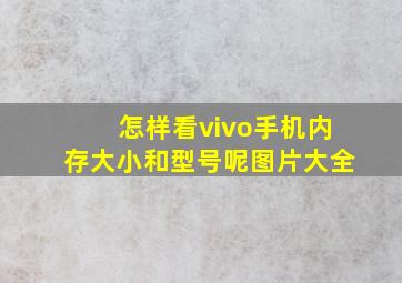 怎样看vivo手机内存大小和型号呢图片大全