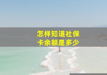 怎样知道社保卡余额是多少