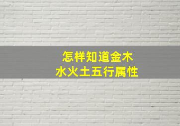 怎样知道金木水火土五行属性