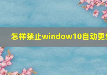 怎样禁止window10自动更新