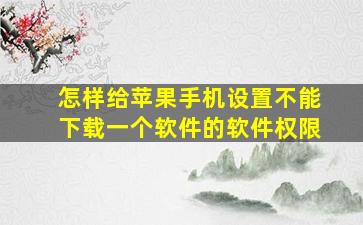 怎样给苹果手机设置不能下载一个软件的软件权限