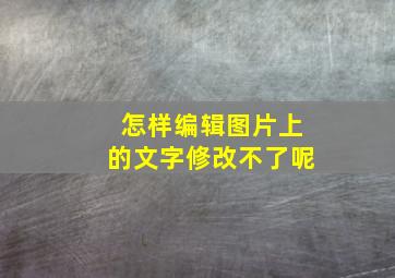 怎样编辑图片上的文字修改不了呢