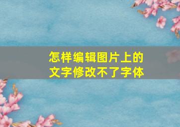 怎样编辑图片上的文字修改不了字体