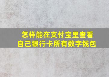 怎样能在支付宝里查看自己银行卡所有数字钱包