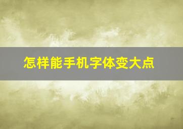 怎样能手机字体变大点