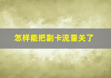 怎样能把副卡流量关了