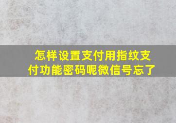 怎样设置支付用指纹支付功能密码呢微信号忘了