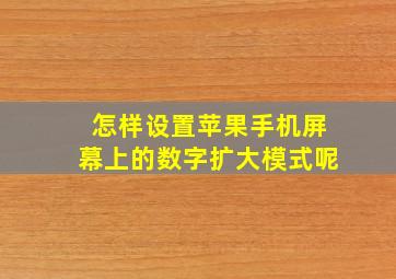 怎样设置苹果手机屏幕上的数字扩大模式呢