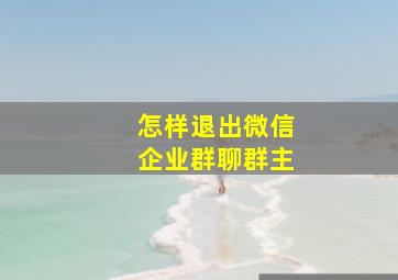 怎样退出微信企业群聊群主