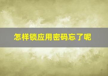 怎样锁应用密码忘了呢