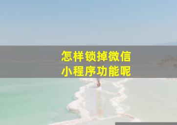 怎样锁掉微信小程序功能呢