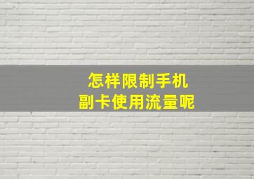 怎样限制手机副卡使用流量呢