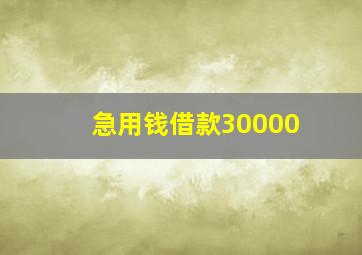 急用钱借款30000