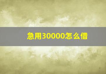 急用30000怎么借