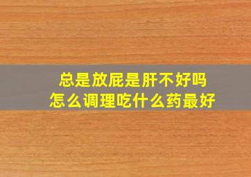 总是放屁是肝不好吗怎么调理吃什么药最好