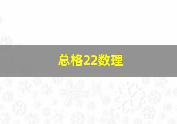 总格22数理