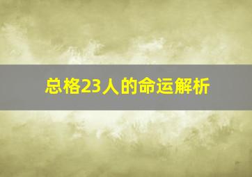 总格23人的命运解析